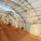 يوجد لدينا جميع انواع البيوات المحميه المكيف وا العادي