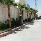 يوجد لدينا جميع انواع النخيل العربي والواشنطني الزينه