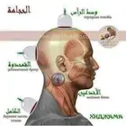 حجامه وسط الرأس