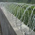 شبك حماية للاسوار كونسرتينا
