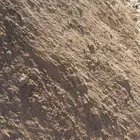 يتوفر لدينا توصيل تربه رمل زراعي وسماد زراعي