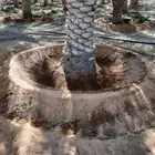 نقوم بجميع اعمال النخيل