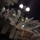 ضباب الرياض رذاذ وضباب الرياض