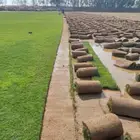 للتوصيل نجيله طبيعيه