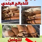 ذبايح مع الذبح والتوصيل