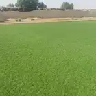ثيل طبيعي c2000 نجيله طبيعي