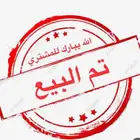 شنير سوري اعمار 5 الى 6 اشهر