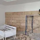 نقوم بتوريد انخيل الوشنطني والعربي وزرعته وتنفيذ اتراث في أن