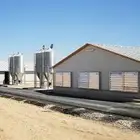 متوفر عنابر دجاج مغلق مرخص للايجار