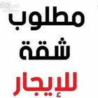 مطلوب شقه