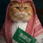 خدمات قطط وفندقة