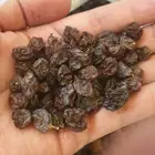 اللوز البلدي وزبيب الحماط والعنب البلدي المجفف