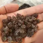 اللوز البجلي وزبيب الحماط وزبيب العنب المجفف