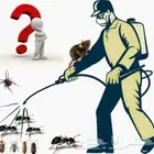 شركة مكافحة الحشرات رش حشرات مبيد مبيدات حشرية صراصير نمل وز