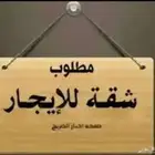 مطلوب شقة للايجار لعرسان