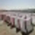 صبات