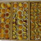 شيف.عام شرقي غربي يداري