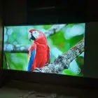 متوفر بروجكتر