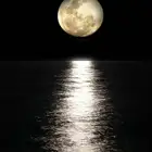 قصايد للبيع سعر مرضي ان شاءالله