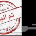 صوص دجاج بلدي