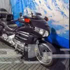 قولد وينق للإيجار اليومي أو الشهري