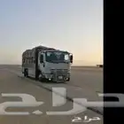 دينه نقل دينا جده