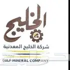 مدير مشروع