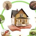 ادوات رش مكافحة الصراصر البق بالمدينة المنورة