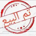 جفرة بيشية صنف الصنف