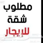 مطلوب شقة للايجار