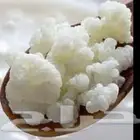 فطر هندي كفير