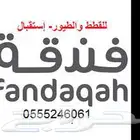 فندقة قطط وطيور وقت اجازتكم 6061 24 0555 حي المصيف