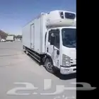 تاجير دينات مبرده موديل 2024 2025