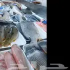 جازان