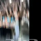 نخله تفاحتين