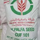 بذور برسيم باسفيك كاف 101