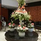 تنسيق بوابات بلونات و مداخل فنادق واستقبال
