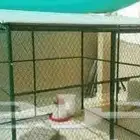 قفص شبك محكر للطيور و المواشي شبك بقلاوة