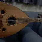 عود زرياب نظيف للبيع