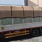 دينا 5متر لنقل العفش داخل مكه وخارجها
