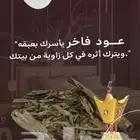 عود سومطري فاخر طبيعي من اجود انواع العود الطبيعي الممتاز