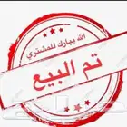 حمام جوز دنش اصفر