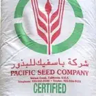 بذور ذرة بايبر كيلو