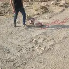 حفاراباربارق محايل احدثربان شمران رجال المع سحر ال عاصم خاض