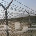 شبوك