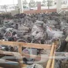 جير قير اكورد مازدا سنترا سبارك اكسبدشن تورس