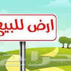 للبيع ارض حى المزروع القطيف
