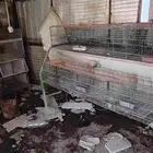 بطاريات ارانب للبيع