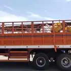 ترلا جوانب عالي في المدينة المنورة يبغى حموله على جده