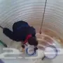  شركه مكافحه الحشرات القوارض مع الضمان